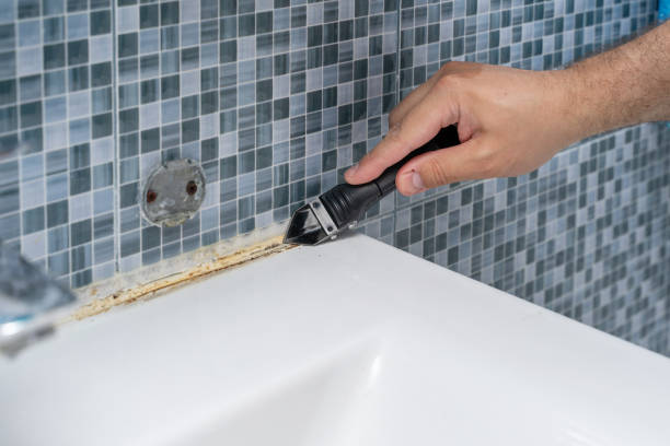 Best Black Mold Removal  in La Crescent, MN