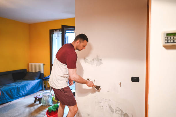 Best Emergency Mold Removal  in La Crescent, MN